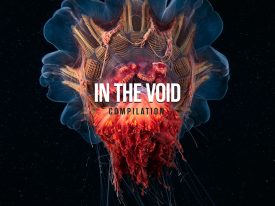 In the Void Compilation